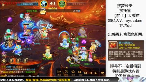 接大海龟活动最后俩天