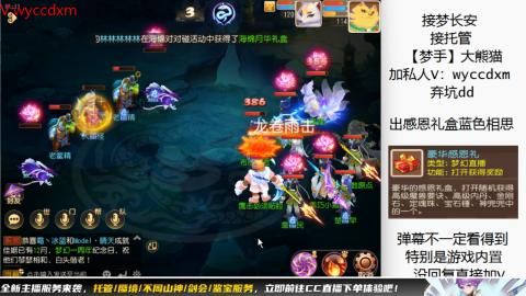 接大海龟活动最后俩天