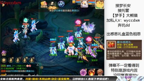 接大海龟活动最后俩天