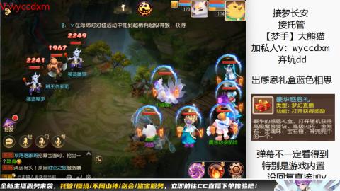 接大海龟活动最后俩天