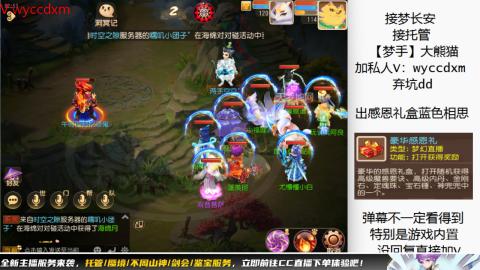 接大海龟活动最后俩天