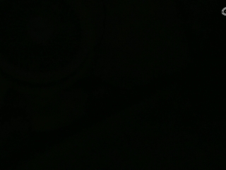 有你们相伴真好..