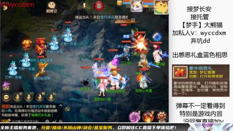接大海龟活动最后俩天