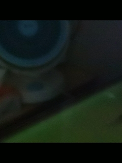 别翻了~就我了~