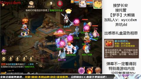接大海龟活动最后俩天