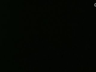 等风也等你