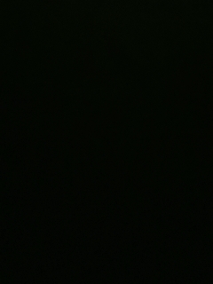 不要留下我一个人孤军奋战..