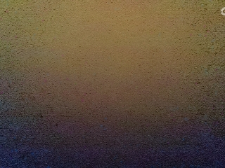 大米粒☆的直播间