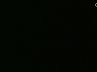 等风也等你