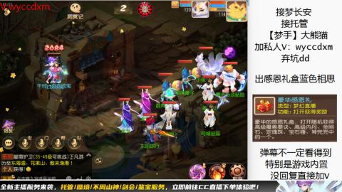 接大海龟活动最后俩天