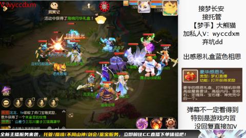 接大海龟活动最后俩天