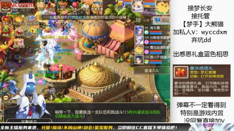 接大海龟活动最后俩天