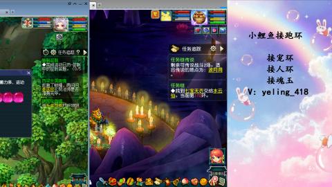接命魂之玉 人环 宠环