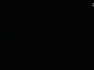 等风也等你