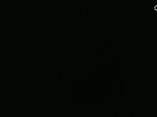 等风也等你