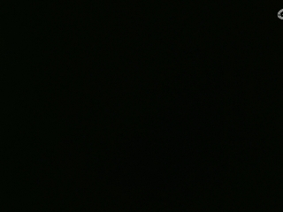 等风也等你