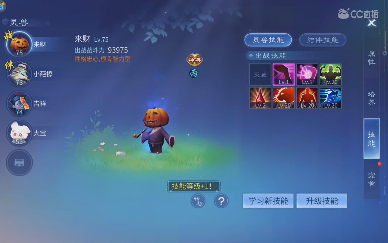比武啦
