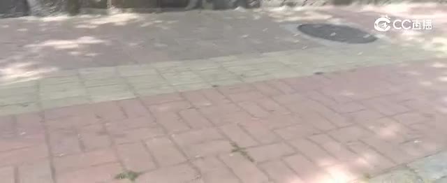 video_20260612_141940