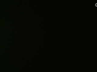 等风也等你
