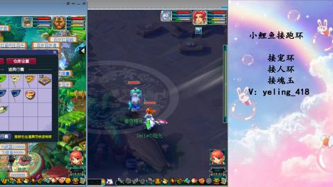 接命魂之玉 人环 宠环