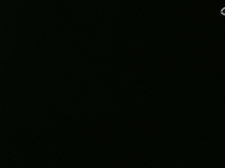 等风也等你