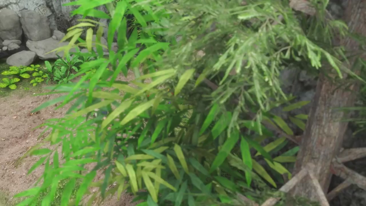 梦幻西游动画片第二季第2集