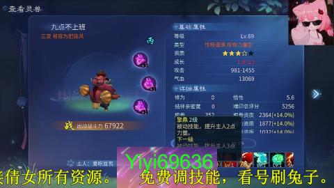 背饰打造，账号托管