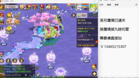 接九转蜃境托管~