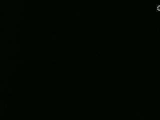 等风也等你