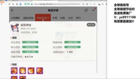 全等级帮找号细节估价
