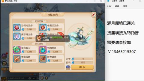 接九转蜃境托管~