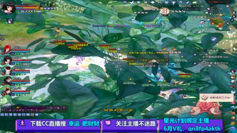 陌生花开缓缓归已