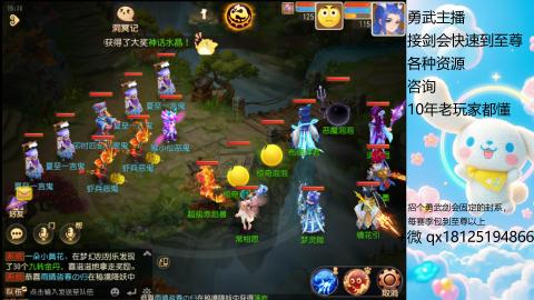 勇武玩家