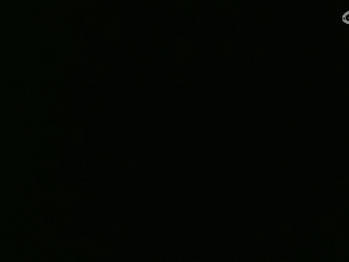 等风也等你