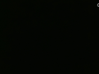 等风也等你
