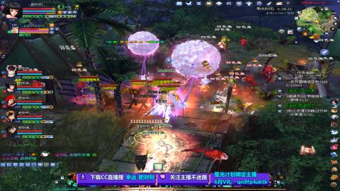 陌生花开缓缓归已