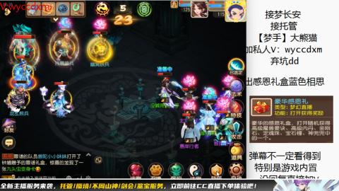 接大海龟活动最后俩天