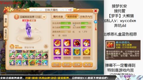 接大海龟活动最后俩天