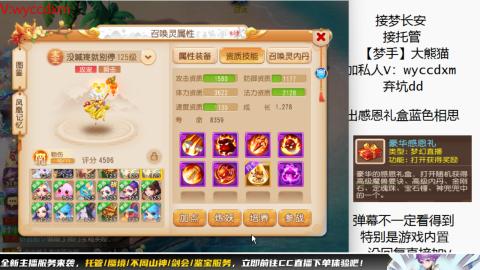 接大海龟活动最后俩天
