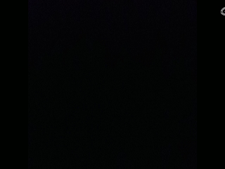 请叫我枪不黑的直播