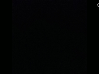 请叫我枪不黑的直播