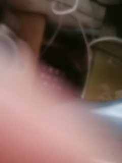 请叫我枪不黑的直播