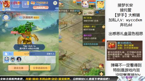 接大海龟活动最后俩天