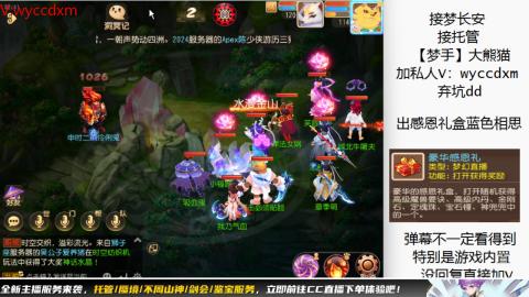 接大海龟活动最后俩天