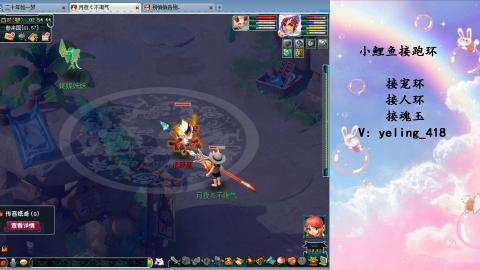 接命魂之玉 人环 宠环