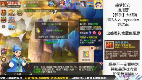 接大海龟活动最后俩天