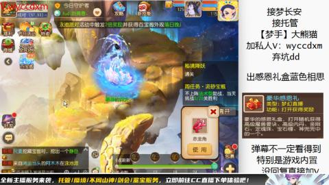 接大海龟活动最后俩天