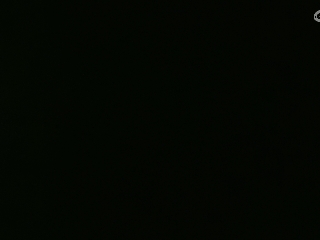 等风也等你