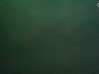 别翻了~就我了~