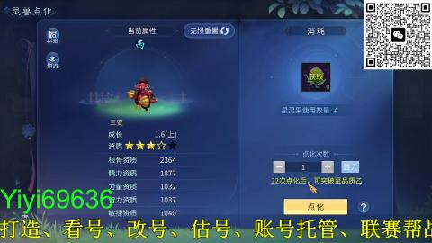 背饰打造，账号托管